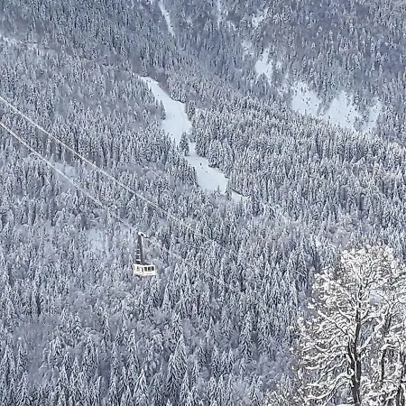 Apartamento L'aigle Royal